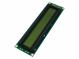 LCD alfanumerický displej WINSTAR WH2402A-NYG-ET#