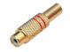 Konektor CINCH K29442R