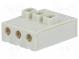 Rychlosvorka  9286  pružinová svorka  26AWG÷18AWG  250V  8A