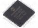 Mikrokontrolér dsPIC  SRAM  24kB  Paměť  256kB  TQFP64  3÷3,6V