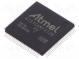 Mikrokontrolér ARM7TDMI  SRAM  32kB  Flash  128kB  LQFP100