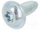 Vrut  do kovu  5x12  Hlava  kulatá  Torx®  TX25  kalená ocel  zinek