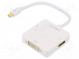 Adaptér  DisplayPort 1.2,DVI 1.0,HDCP 1.3  bilá
