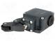 Limit switch  plastic roller Ø20mm  NO + NC  10A  max.500VAC