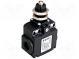 Limit switch  pin plunger Ø8mm and additional fixation  10A
