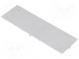 Front panel  with frame, with holder  grey