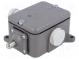 Limit switch  plunger  NO + NC  16A  max.500VAC  max.220VDC  IP56
