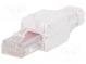 Zástrčka  RJ45  PIN  8  Kat  6  Uspořádání výv  8p8c  23AWG-26AWG
