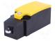 Limit switch  plastic roller Ø9mm  NO + NC  6A  max.400VAC  M20