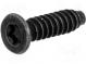 Vrut  3x12  Hlava  kuželová  Torx®  ocel  černěné