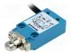 Limit switch  oblong plastic roller Ø12,7mm  NO + NC  10A  IP67