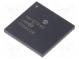 Mikrokontrolér PIC  Paměť  128kB  SRAM  3478B  EEPROM  1024B  SMD