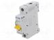 Jistič  230/400VAC  250VDC  Ijmen  25A  Póly  1  DIN  Průběh  C  10kA