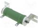 Rezistor  drátový  100Ω  50W  ±5%  Ø31x75mm  300ppm/°C  Výv  očka