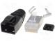 Zástrčka  RJ45  PIN  8  stíněný  Uspořádání výv  8p8c  na kabel