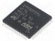 Mikrokontrolér ARM  Flash  256kB  48MHz  SRAM  32kB  LQFP100