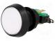 Switch  push-button  Pos  2  SPDT  10A/250VAC  ON-(ON)  Illumin  LED