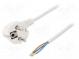 Kabel  CEE 7/7 (E/F) úhlová vidlice,vodiče,SCHUKO vidlice  PVC