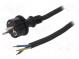 Kabel  CEE 7/7 (E/F) vidlice,vodiče,SCHUKO vidlice  guma  10m