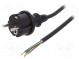 Kabel  CEE 7/7 (E/F) vidlice,vodiče,SCHUKO vidlice  PVC  5m