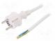 Kabel  CEE 7/7 (E/F) vidlice,vodiče,SCHUKO vidlice  PVC  1,5m