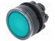 Přepínač  tlačítkový  1-polohové  22mm  zelená  IP66  -25÷70°C