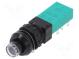 Switch  push-button  Pos  2  DPDT  6A/250VAC  ON-ON
